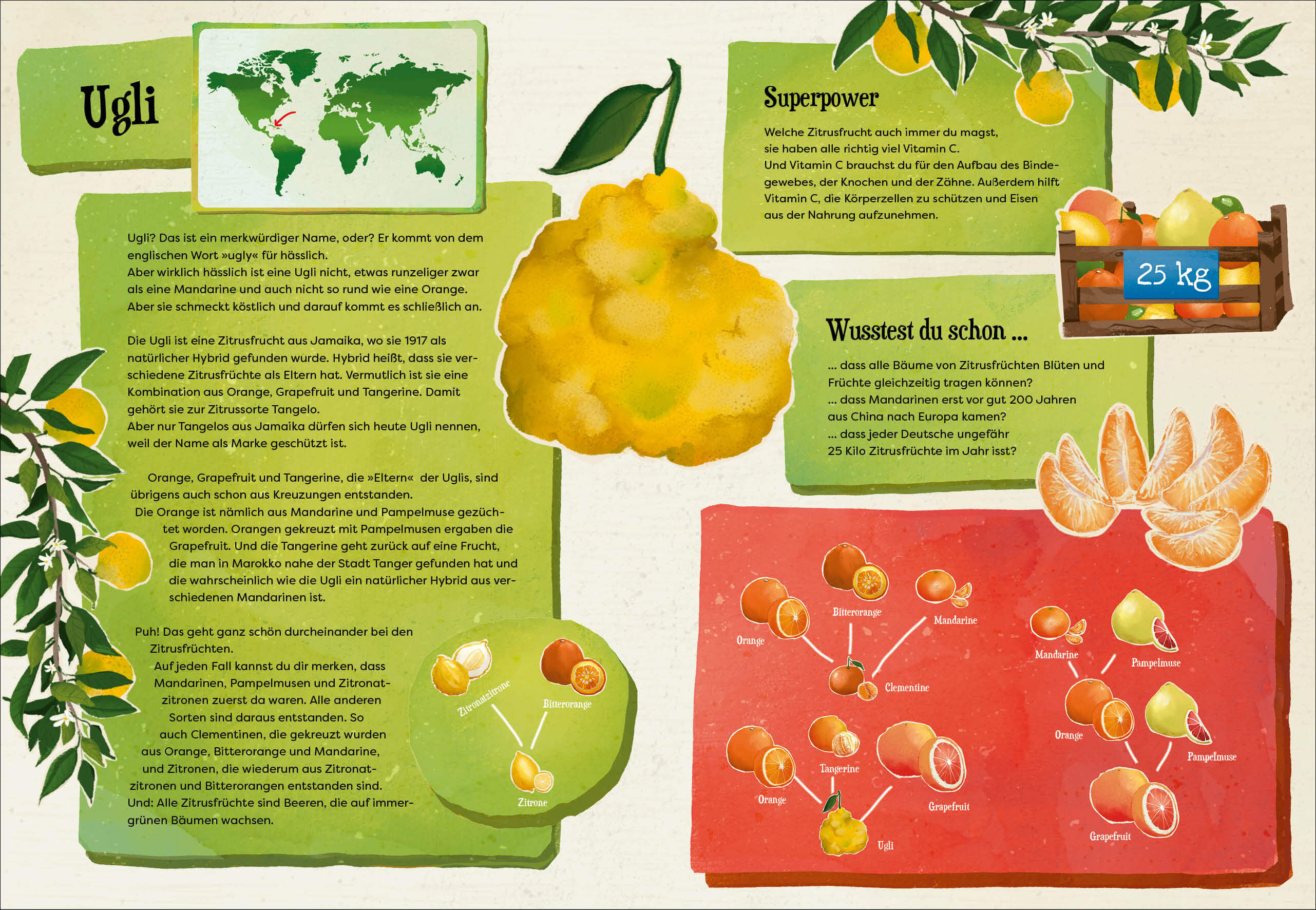 Weißt du, wo der Pfeffer wächst? – Erstaunliches Wissen von Ananas bis Zimt Jonna Struwe 9783423765909 dtv Verlagsgesells...