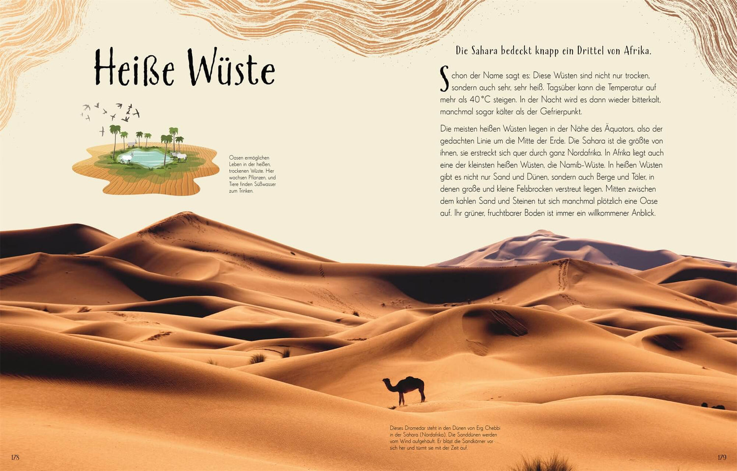 Wundervolle Welt. Erde Ein Natur-Bilderbuch für die ganze Familie. Hochwe Cally Oldershaw 9783831049172 DK Verlag Dorling...