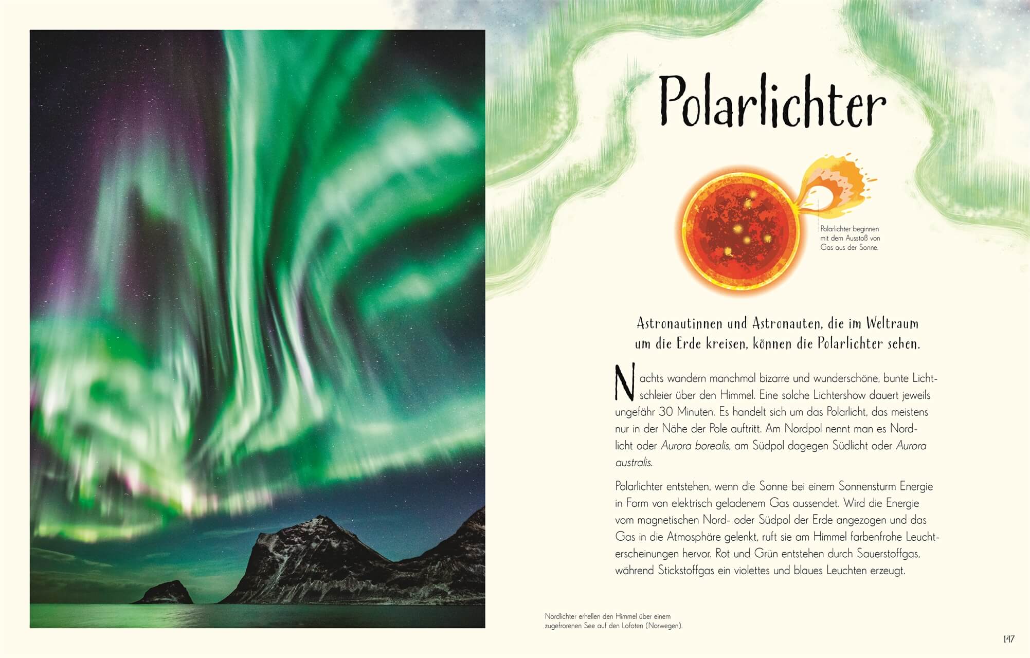Wundervolle Welt. Erde Ein Natur-Bilderbuch für die ganze Familie. Hochwe Cally Oldershaw 9783831049172 DK Verlag Dorling...