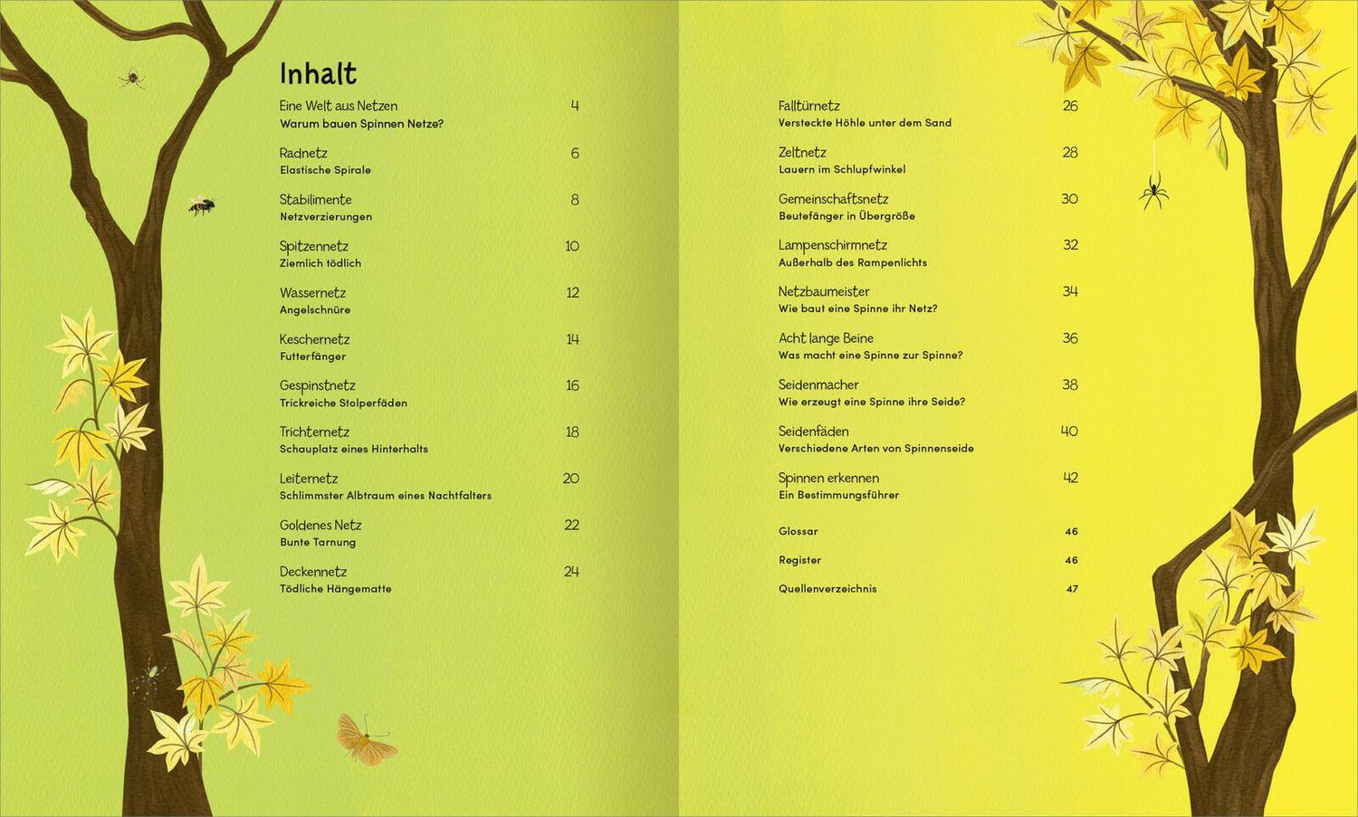 Wunderwelt der Spinnennetze Jan Beccaloni 9783845865515 ArsEdition GmbH (6)