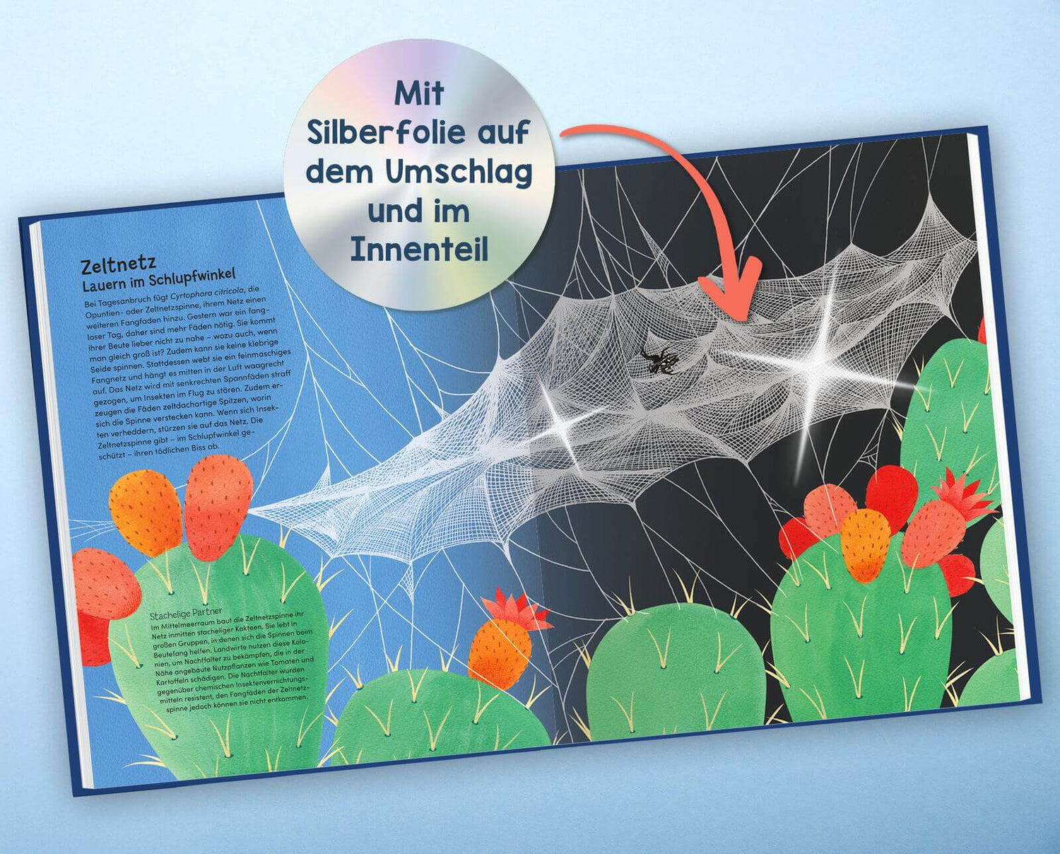 Wunderwelt der Spinnennetze Jan Beccaloni 9783845865515 ArsEdition GmbH (7)