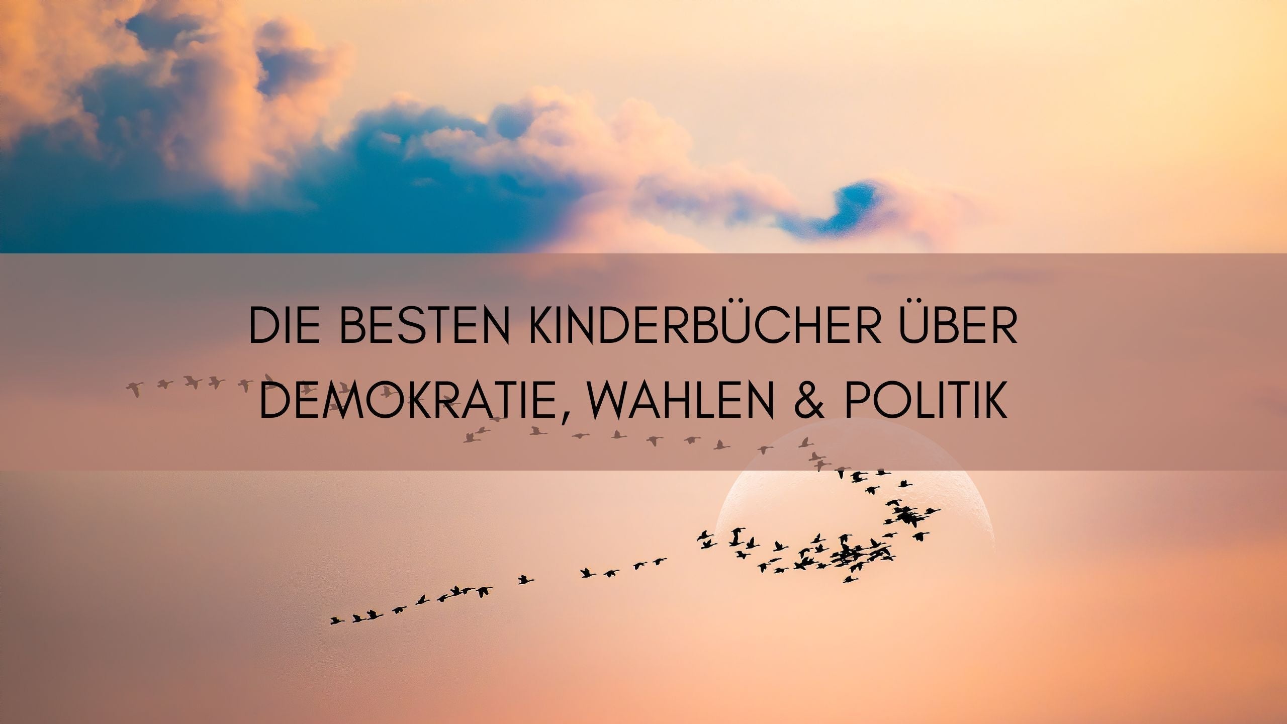 Kinderbücher über Wahlen und Demokratie