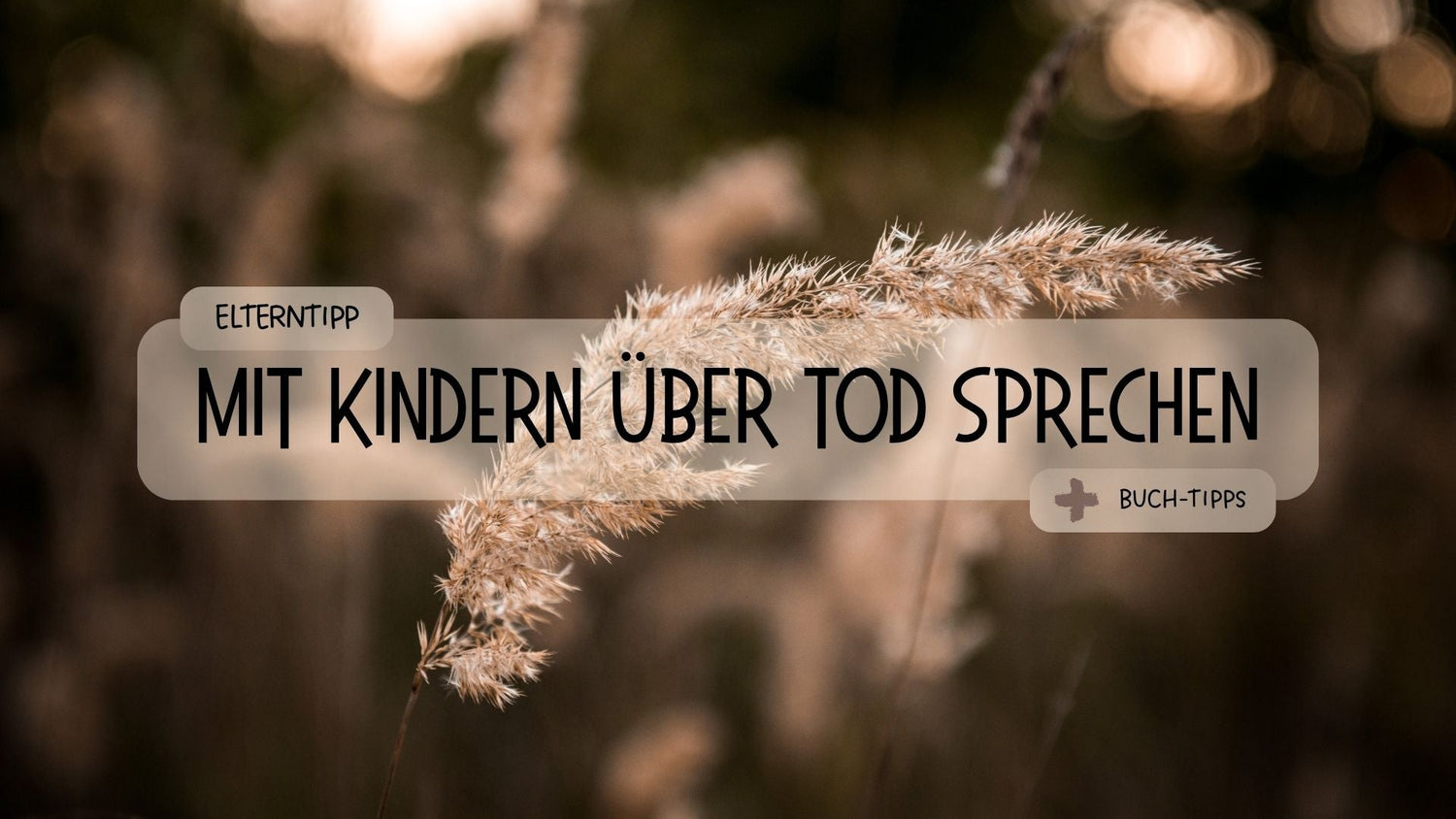 Wie spreche ich mit Kindern über das Thema Tod und Sterben? - Räuberfuchs-Blog