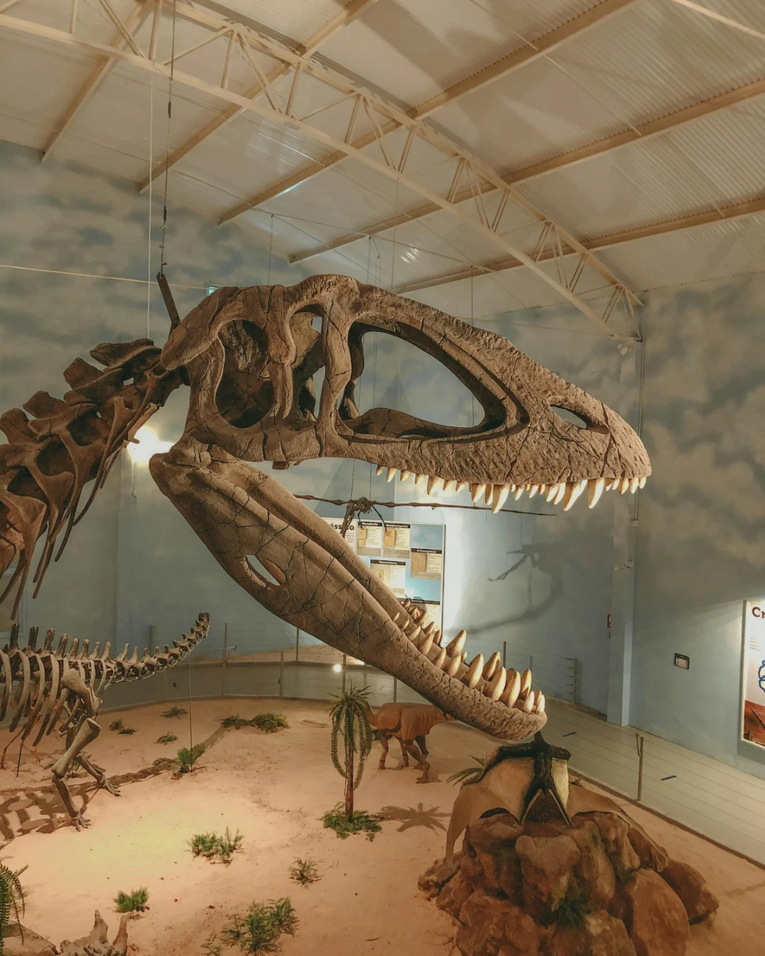 Dinobücher
