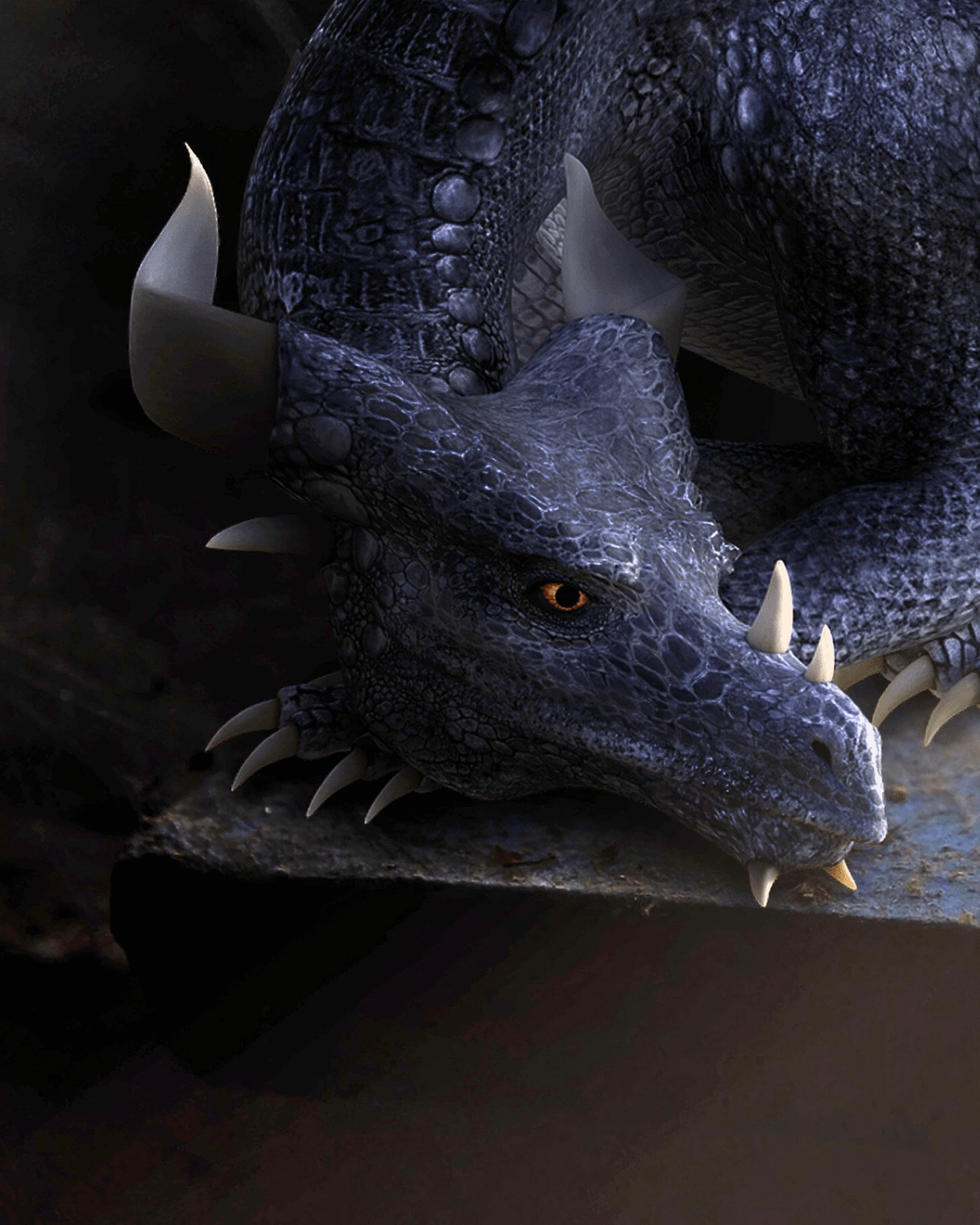 Drachen &amp; Feen