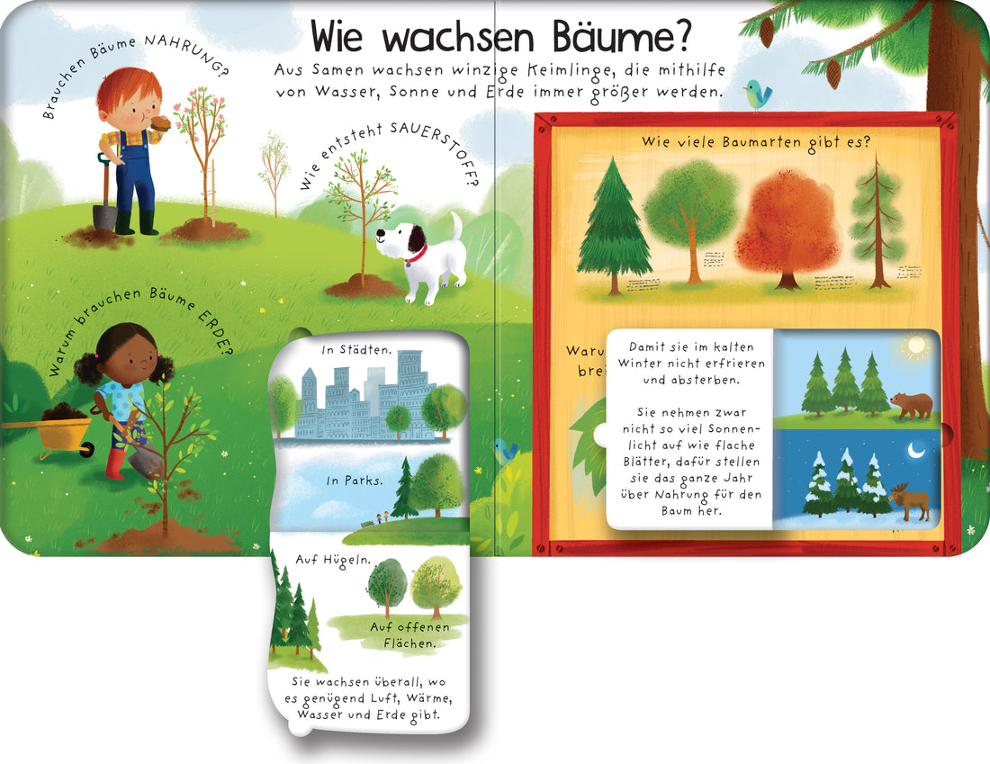 Erstes Aufklappen und Verstehen: Warum brauchen wir Bäume? mit über 40 Klappen