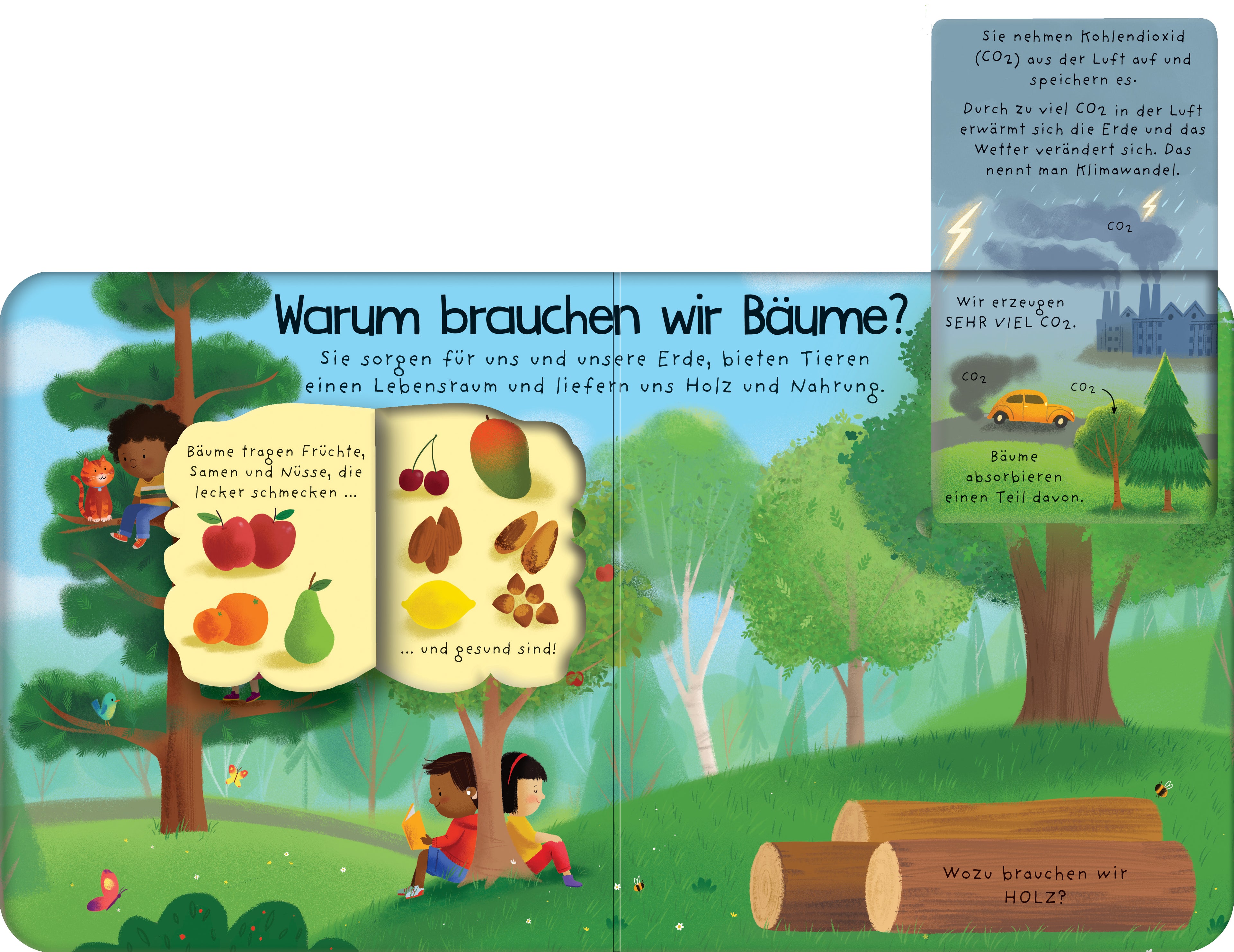 Erstes Aufklappen und Verstehen: Warum brauchen wir Bäume? mit über 40 Klappen