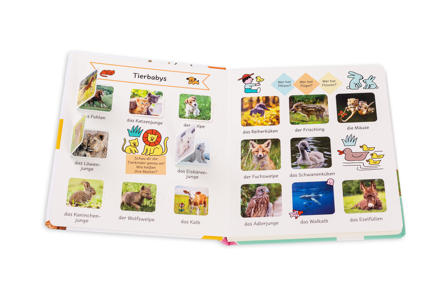 Mein erstes großes Tierbuch