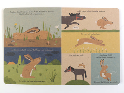Ich bin der Hase: 100 % Naturbuch - Vierfarbiges Papp-Bilderbuch