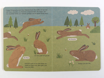 Ich bin der Hase: 100 % Naturbuch - Vierfarbiges Papp-Bilderbuch