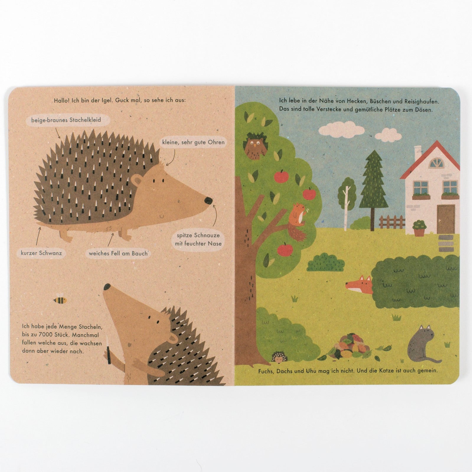 Ich bin der Igel: 100 % Naturbuch. Vierfarbiges Papp-Bilderbuch