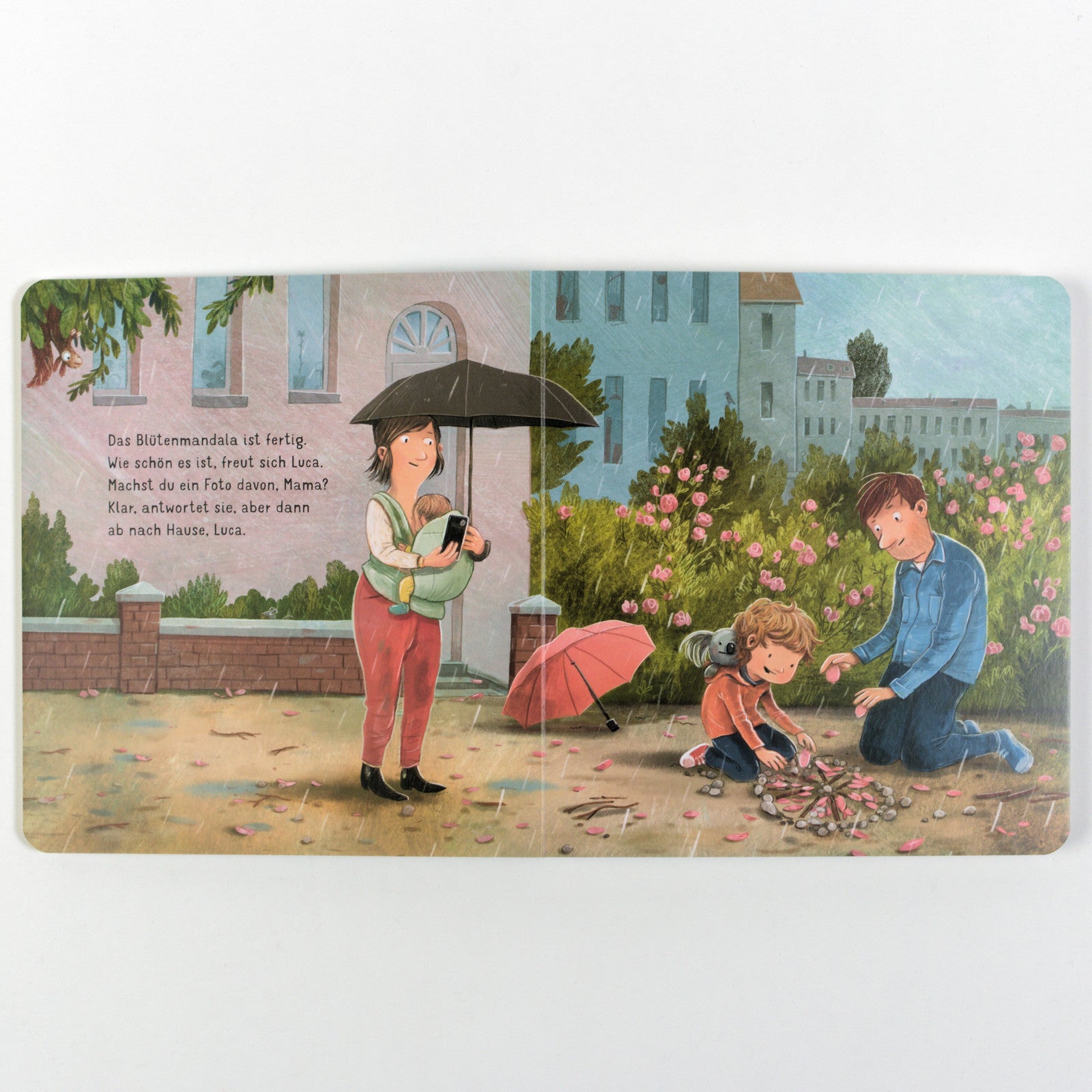 Ab nach Hause, Luca! Vierfarbiges Pappbilderbuch
