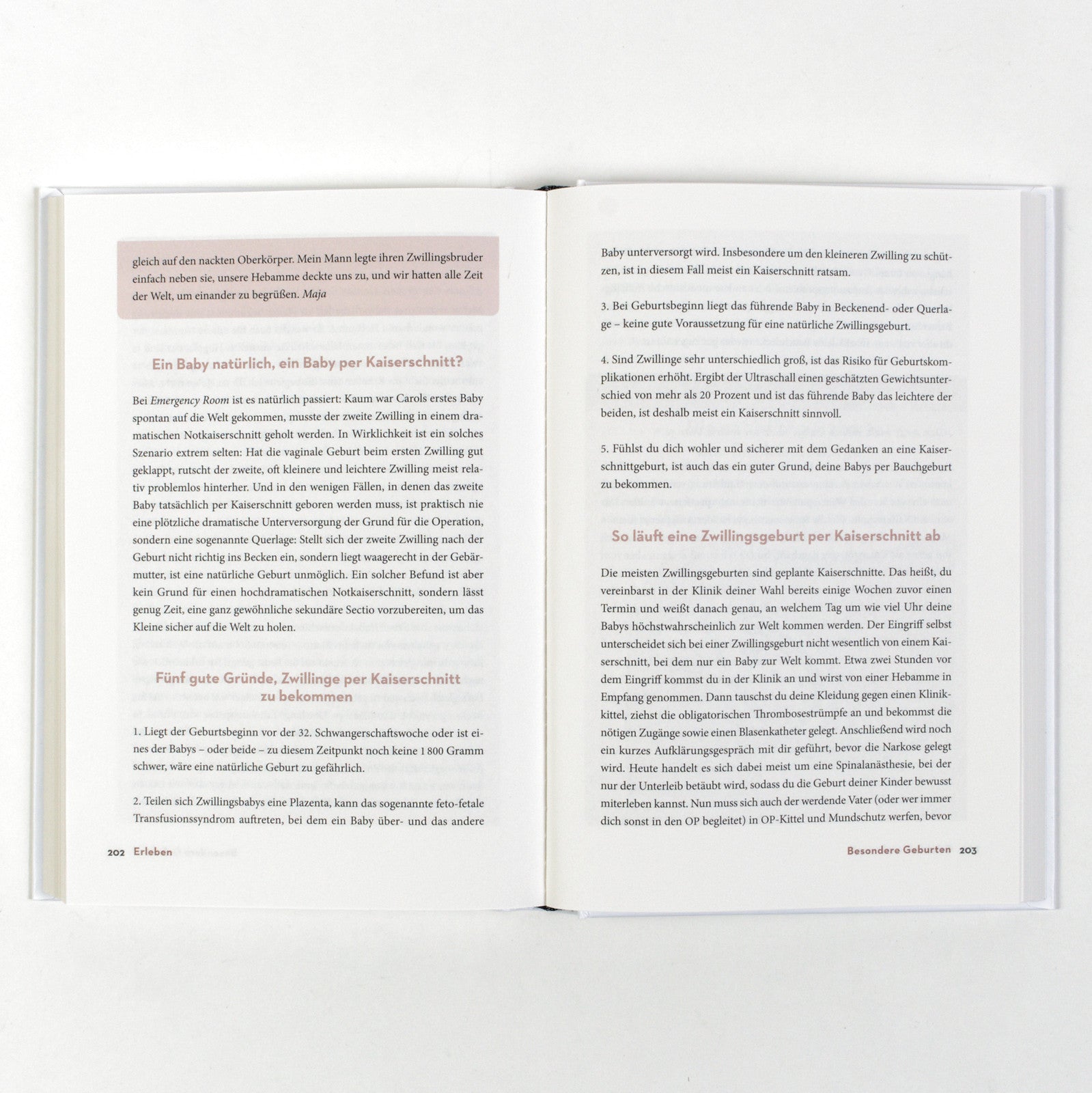 Das Geburtsbuch