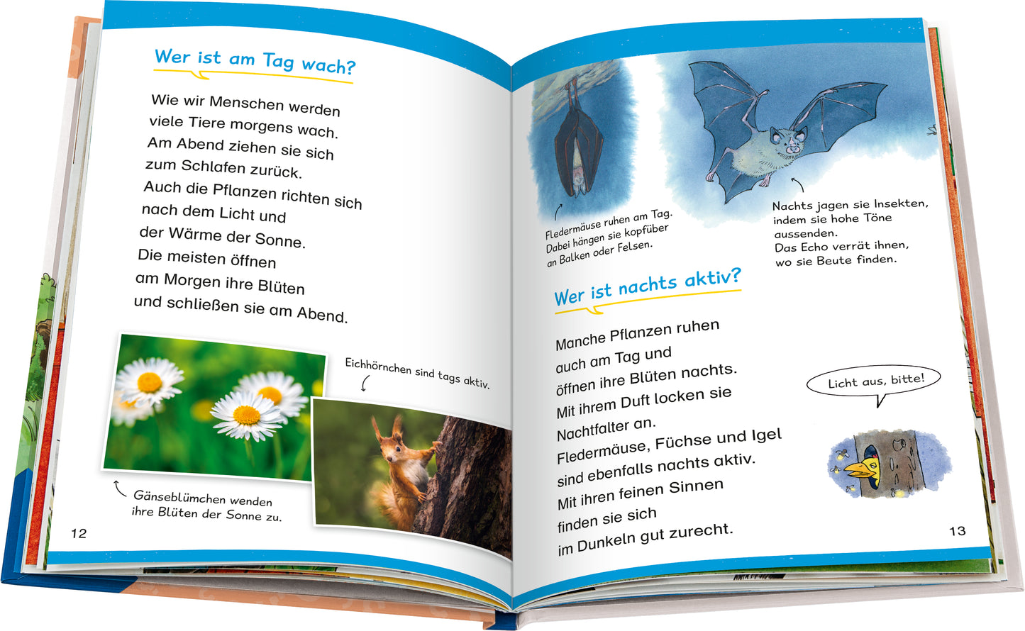 Wieso? Weshalb? Warum? Erstleser, Band 10: In der Natur
