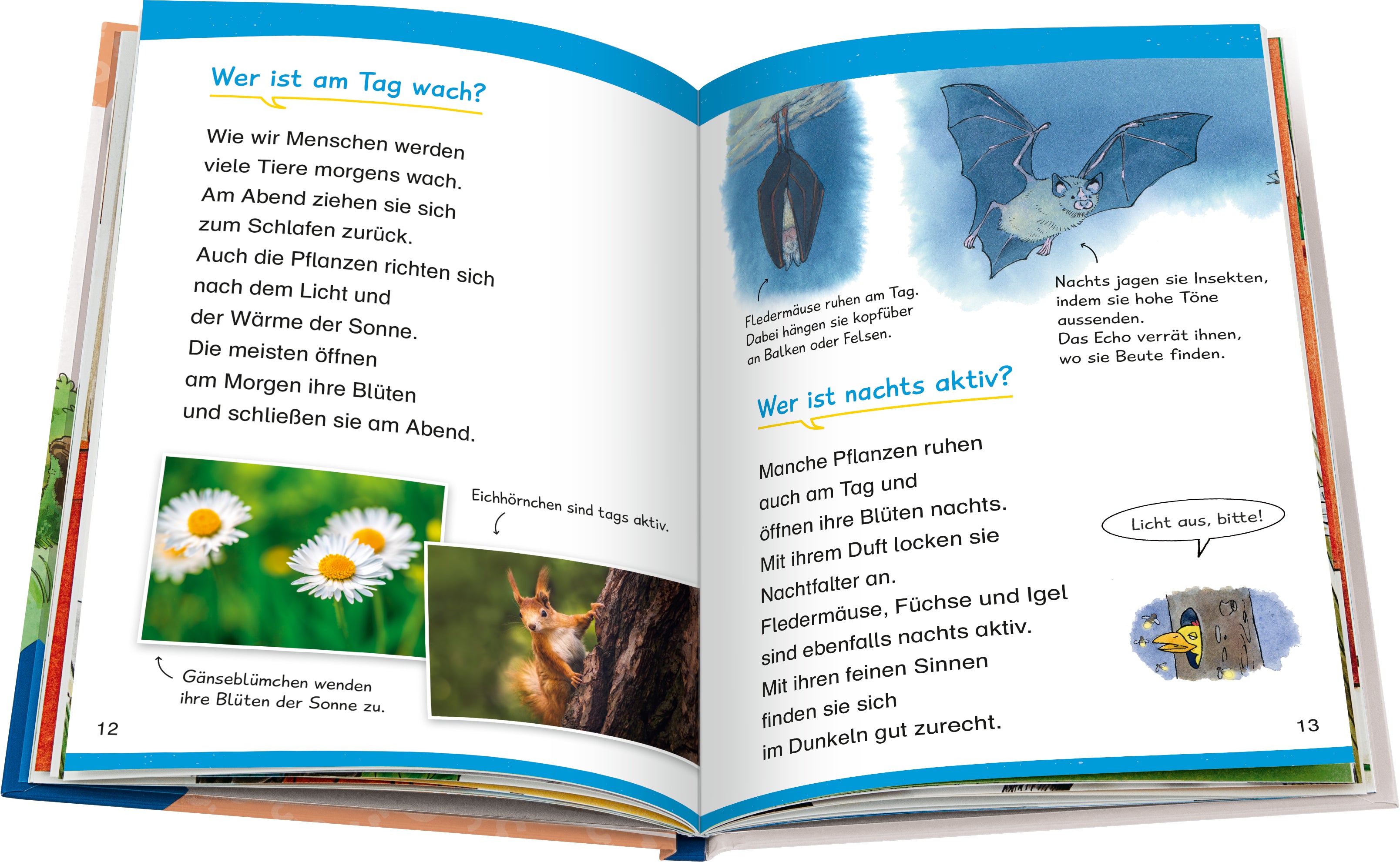 Wieso? Weshalb? Warum? Erstleser, Band 10 - In der Natur