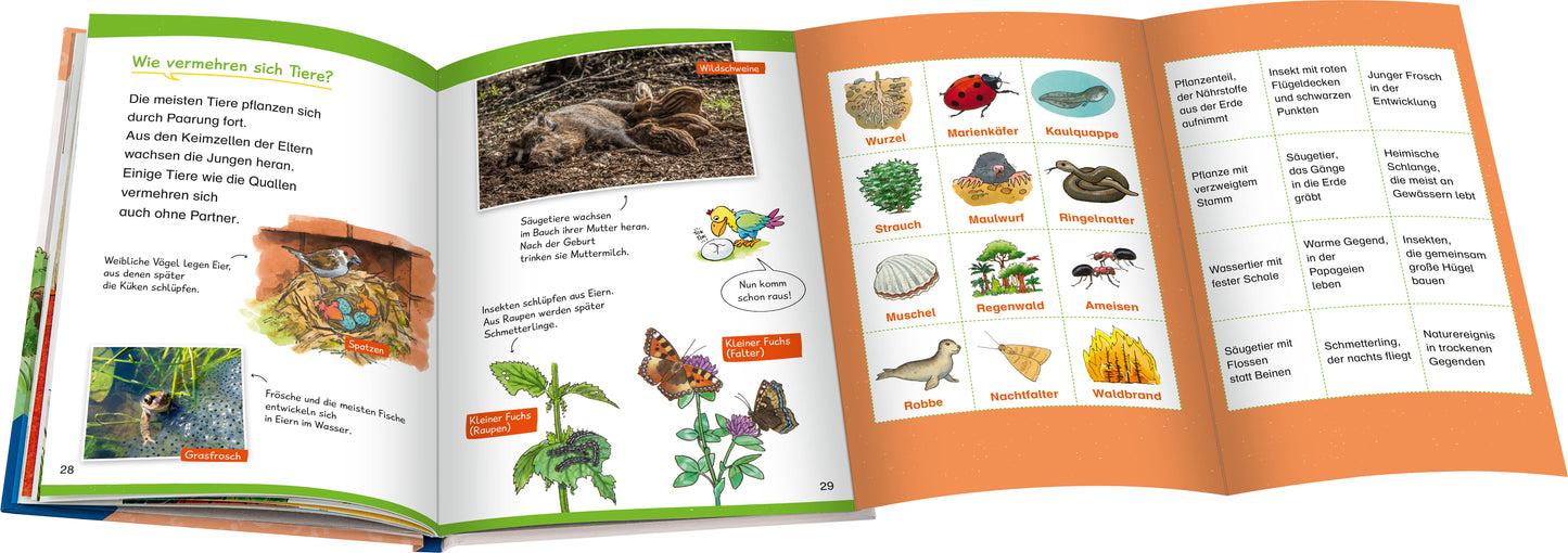 Wieso? Weshalb? Warum? Erstleser, Band 10: In der Natur