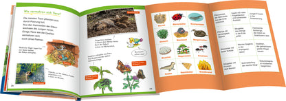 Wieso? Weshalb? Warum? Erstleser, Band 10 - In der Natur