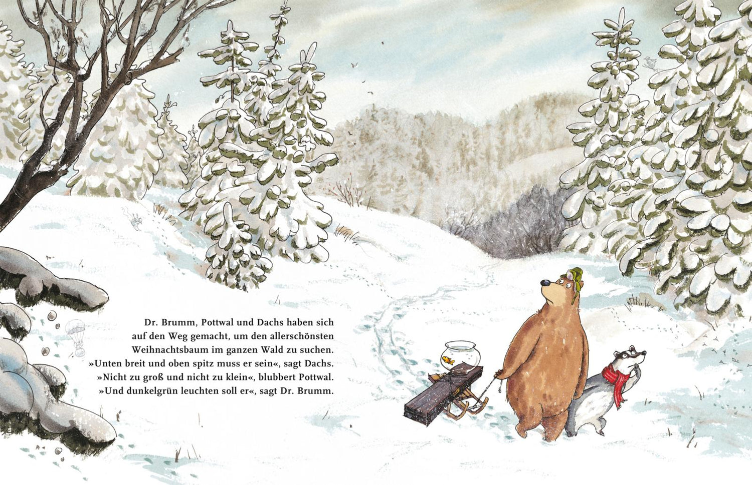 Dr. Brumm: Dr. Brumm feiert Weihnachten
