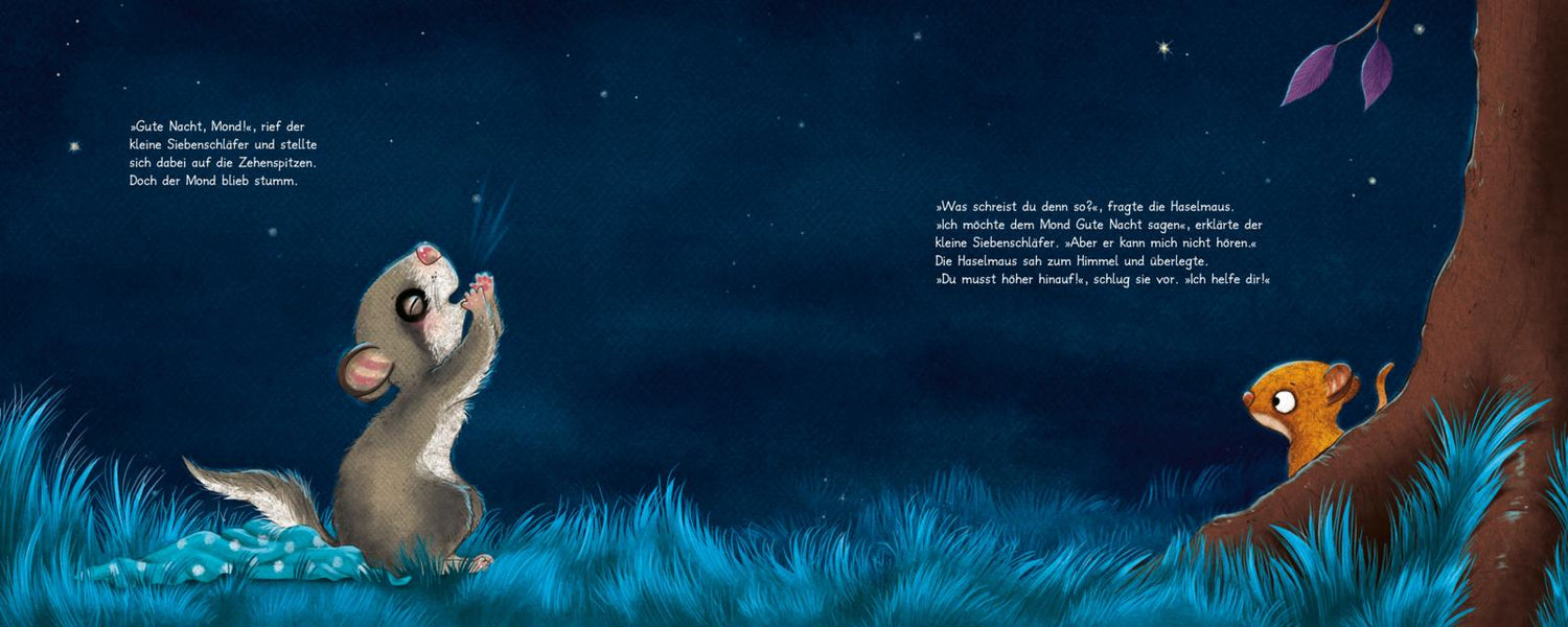 Der kleine Siebenschläfer 6: Die Geschichte vom kleinen Siebenschläfer, der dem Mond Gute Nacht sage
