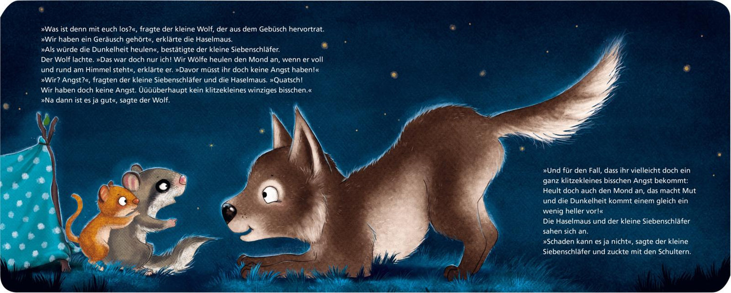 Der kleine Siebenschläfer 5: Die Geschichte vom kleinen Siebenschläfer, der überhaupt keine Angst im