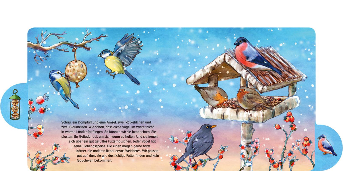 Was machen die Tiere im Winter? – Räuberfuchs Was machen die Tiere im Winter? – Räuberfuchs