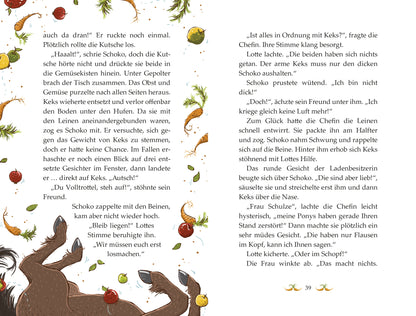 Die Haferhorde - Flausen im Schopf: Band 1 der lustigen Ponyabenteuer für Kinder ab 8 Jahren
