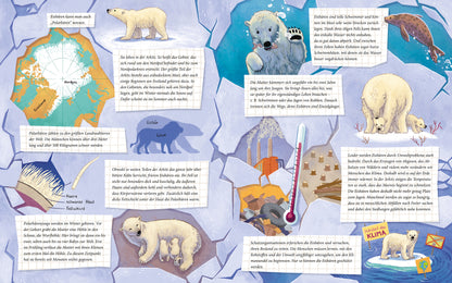 Der kleine Polarbär - Zu Hause in der Arktis: Ein Sachbilderbuch für Kinder ab 4 Jahren