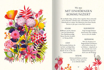 Der Club der magischen Einhörner - Das offizielle Handbuch