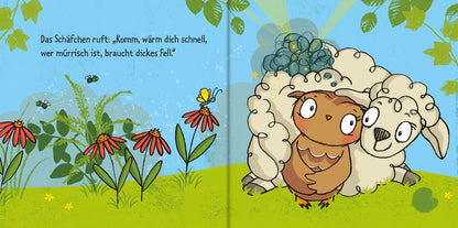Die kleine Eule hat schlechte Laune: Einfühlsames Pappbilderbuch für kleine Miesepeter ab 18 Monaten