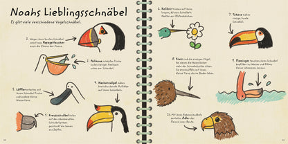 Natur vor der Tür. Noah zeigt dir die Vögel