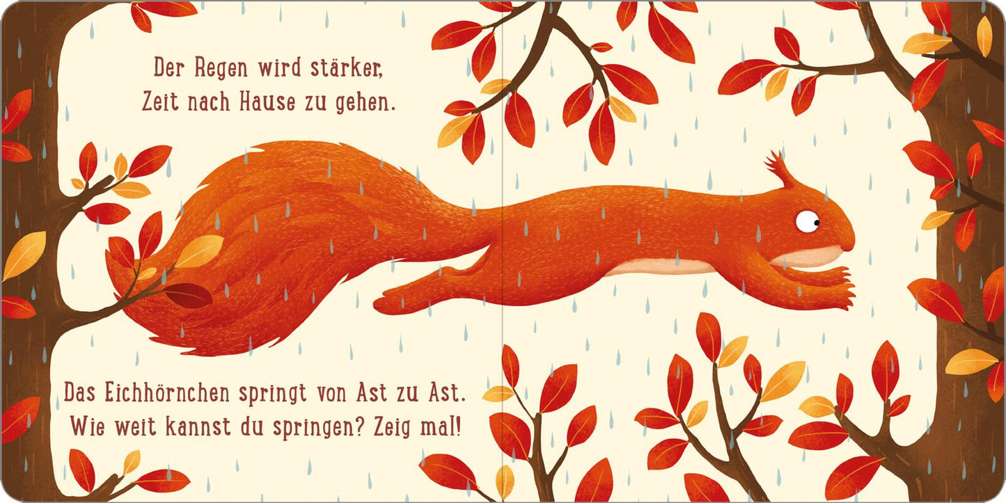 Ein Tag im Wald: Kleines Eichhörnchen