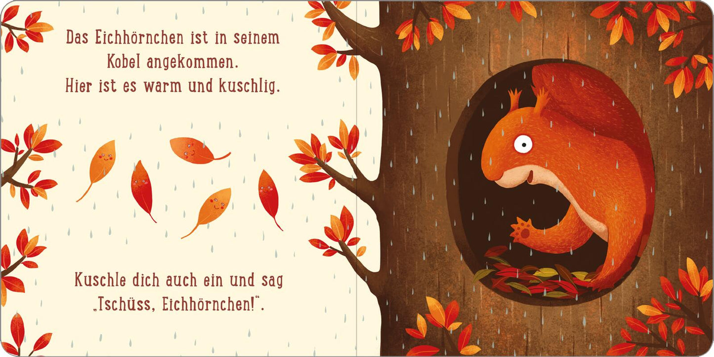 Ein Tag im Wald: Kleines Eichhörnchen