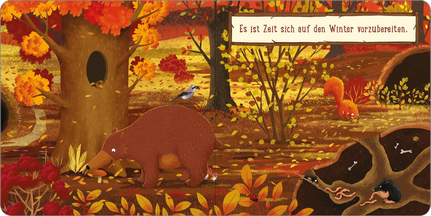 Ein Tag im Wald: Kleines Eichhörnchen