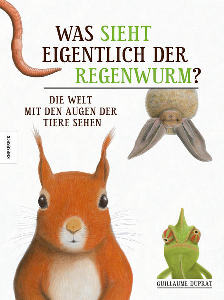 Was sieht eigentlich der Regenwurm? Die Welt mit den Augen der Tiere sehen
