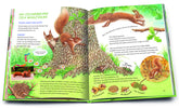 Arena Verlag GmbH 9783401719016 Geh hinaus und entdecke … Die Tiere in deiner Umgebung (2)