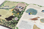 Arena 9783401720654 EVOLUTION. Von der Entstehung des Lebens bis heute Ein Sachbuch geschrieben von Charles Darwins Urure (5)