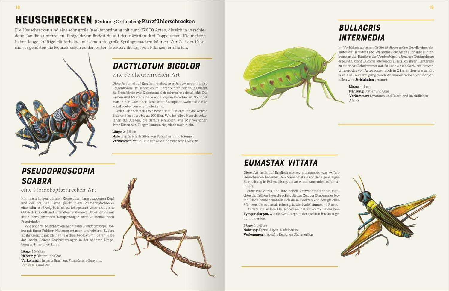 ArsEdition  978-3-8458-5753-4 Das große Lexikon der Insekten (2)