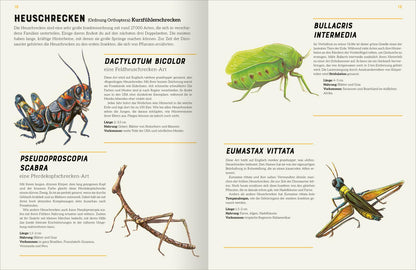 ArsEdition  978-3-8458-5753-4 Das große Lexikon der Insekten (2)