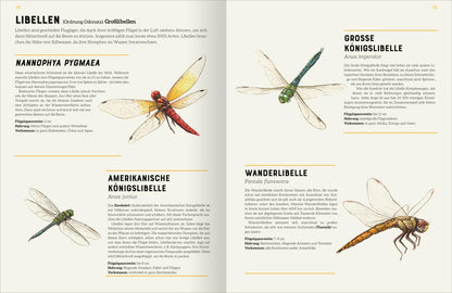 ArsEdition  978-3-8458-5753-4 Das große Lexikon der Insekten (4)