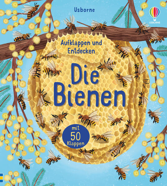 Aufklappen und Entdecken: Die Bienen Emily Bone 9781789415568 Usborne im dtv (1)