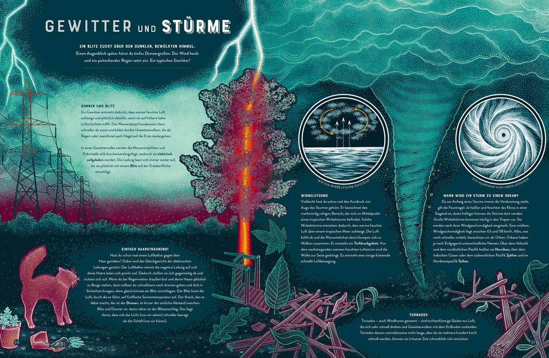 BANG! - Die spektakulärsten Naturphänomene der Erde Zischende, knallende und faszinierende Naturphänom Jennifer N.R. Smit...