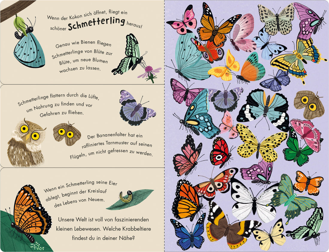  Bienen &amp; Käfer – Ein Klipp-Klapp-Buch über Krabbeltiere Pappbilderbuch ab 2 Jahren mit Klipp-Klapp-Seiten Molly Littleboy...