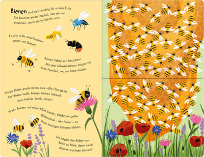  Bienen &amp; Käfer – Ein Klipp-Klapp-Buch über Krabbeltiere Pappbilderbuch ab 2 Jahren mit Klipp-Klapp-Seiten Molly Littleboy...