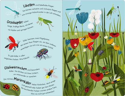  Bienen &amp; Käfer – Ein Klipp-Klapp-Buch über Krabbeltiere Pappbilderbuch ab 2 Jahren mit Klipp-Klapp-Seiten Molly Littleboy...