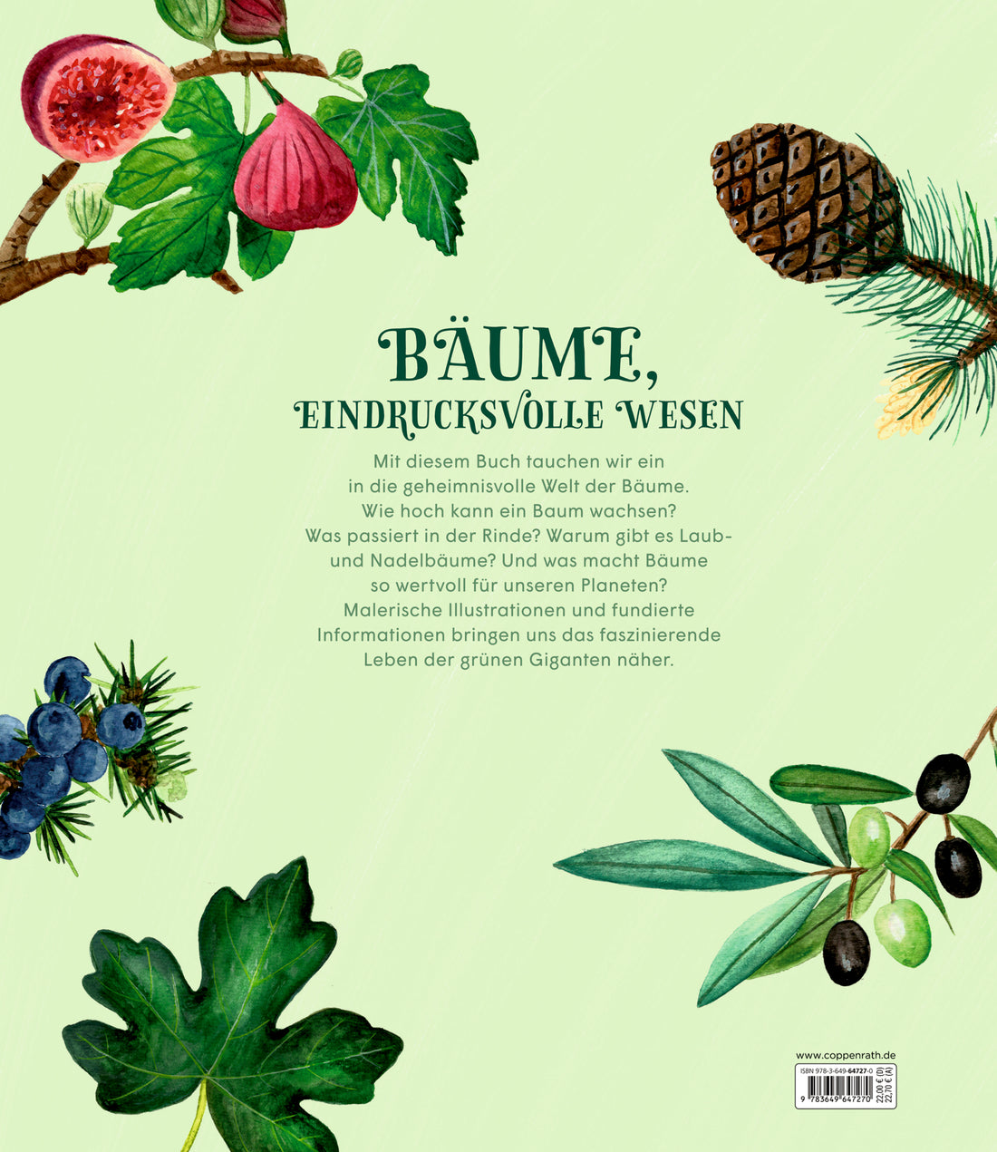 Coppenrath Verlag GmbH &amp; Co. KG 9783649647270 Die geheime Welt der Bäume Ein Sachbilderbuch (2)