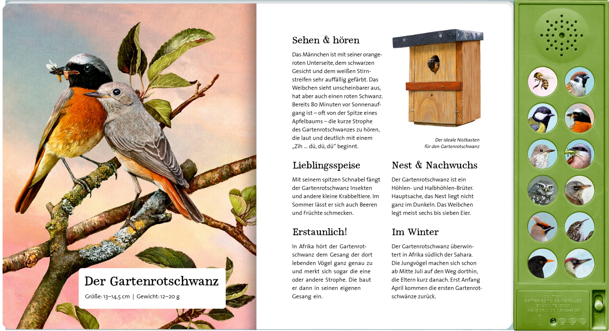 Coppenrath Verlag GmbH &amp; Co. KG 9783649647942 Was singt und summt im Apfelbaum? Mit 12 echten Tierstimmen (3)