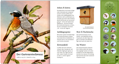 Coppenrath Verlag GmbH &amp; Co. KG 9783649647942 Was singt und summt im Apfelbaum? Mit 12 echten Tierstimmen (3)