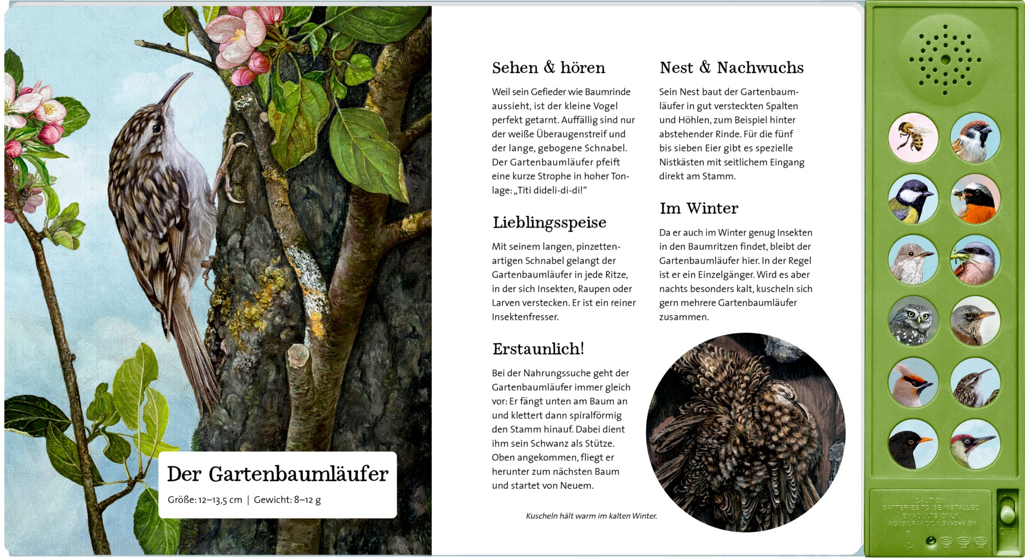 Coppenrath Verlag GmbH &amp; Co. KG 9783649647942 Was singt und summt im Apfelbaum? Mit 12 echten Tierstimmen (4)