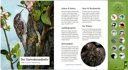 Coppenrath Verlag GmbH &amp; Co. KG 9783649647942 Was singt und summt im Apfelbaum? Mit 12 echten Tierstimmen (4)