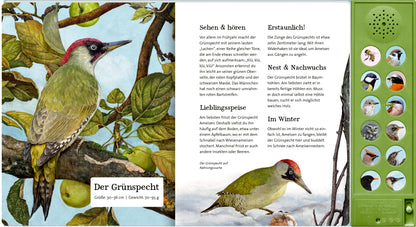 Coppenrath Verlag GmbH &amp; Co. KG 9783649647942 Was singt und summt im Apfelbaum? Mit 12 echten Tierstimmen (5)